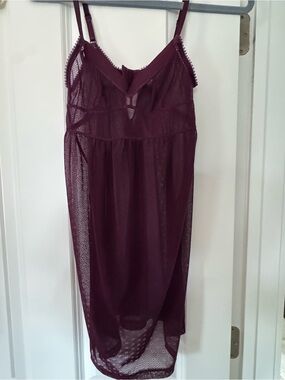 Samantha Chang Burgundy Sheer Lace Slip